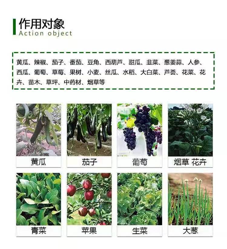 种植EM菌种  农业种植em菌复合菌改良土壤***病青枯病 稻瘟病细菌生物菌