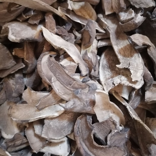 香河县普通牛肝菌 天然食品，自然晾晒