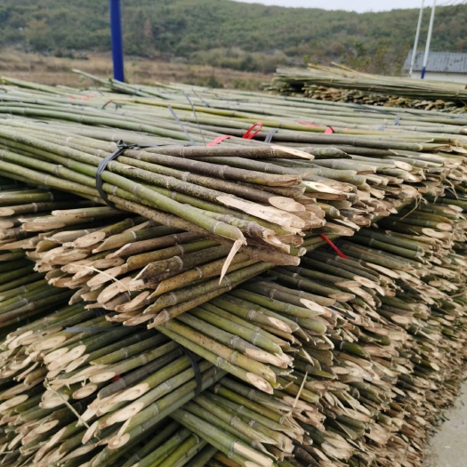 竹竿 麻竹 实心竹 瓜果蔬菜 各种规格齐全产地直发