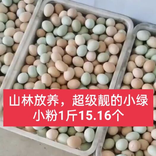 翁源县 批发土鸡蛋，初生蛋。