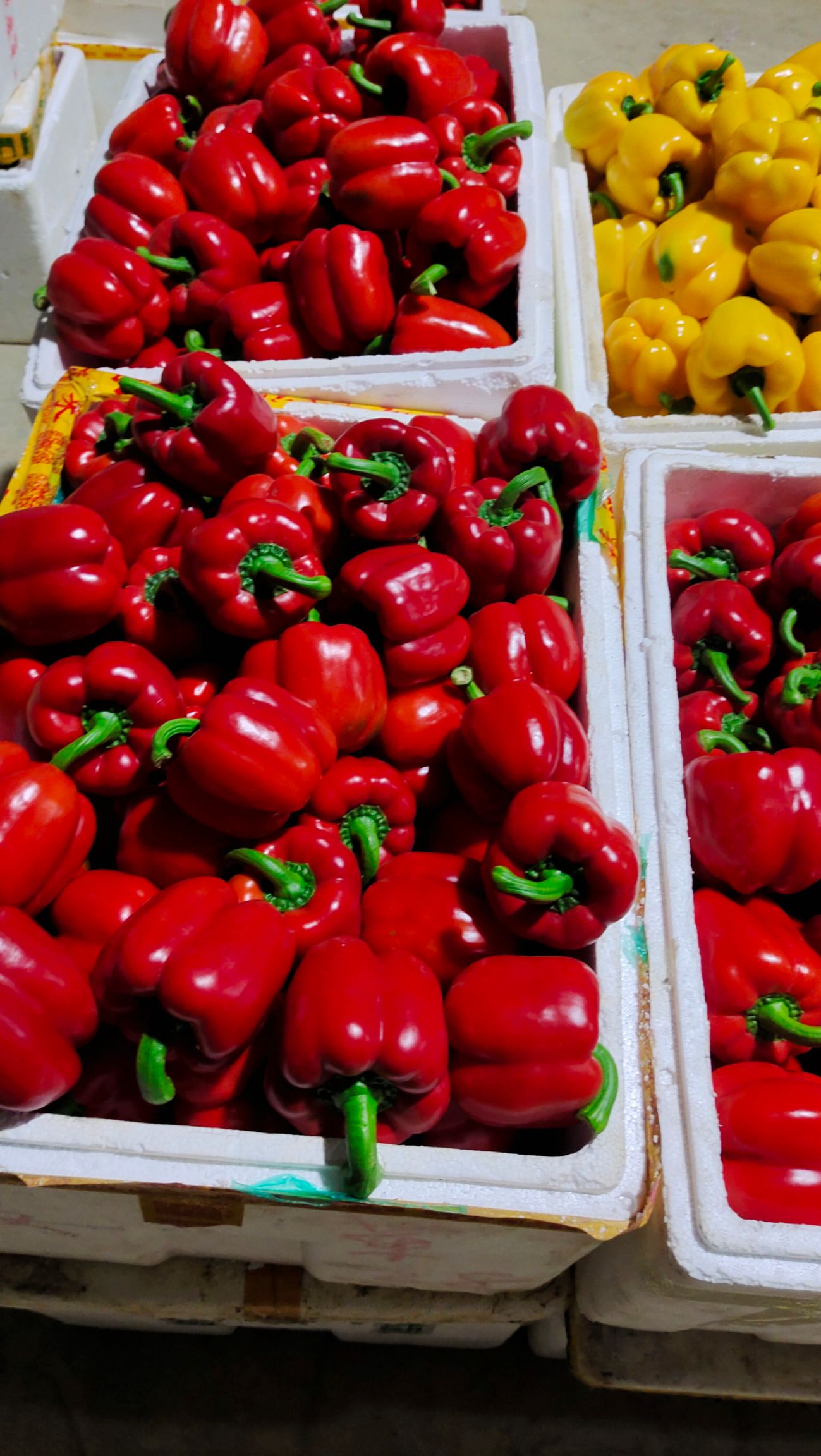 太空椒红黄圆辣椒质量保证