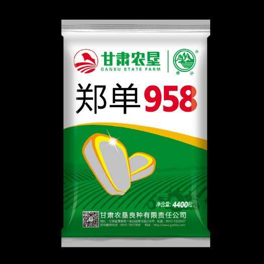 景泰县郑单958玉米种子 甘肃农垦良种有限责任公司，为农民增收增产助力！