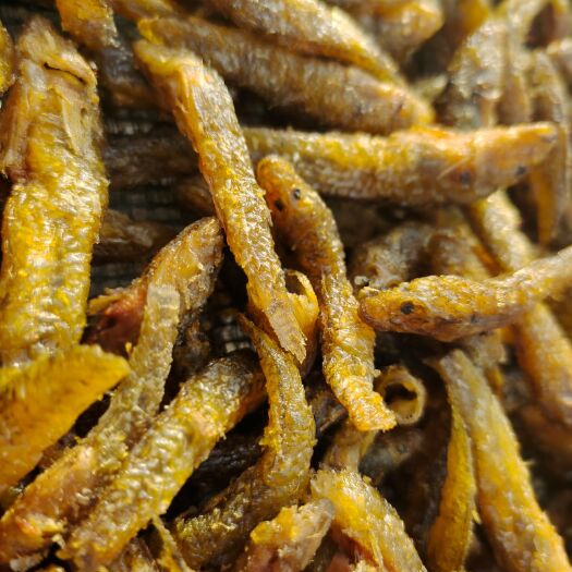 聊城黄鱼干  油炸小黄鱼，现货