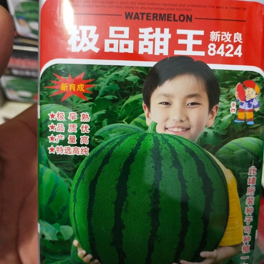 扶沟县甜王西瓜种子 ，抗病圆型瓜瓤红色，肉质细嫩多汁，