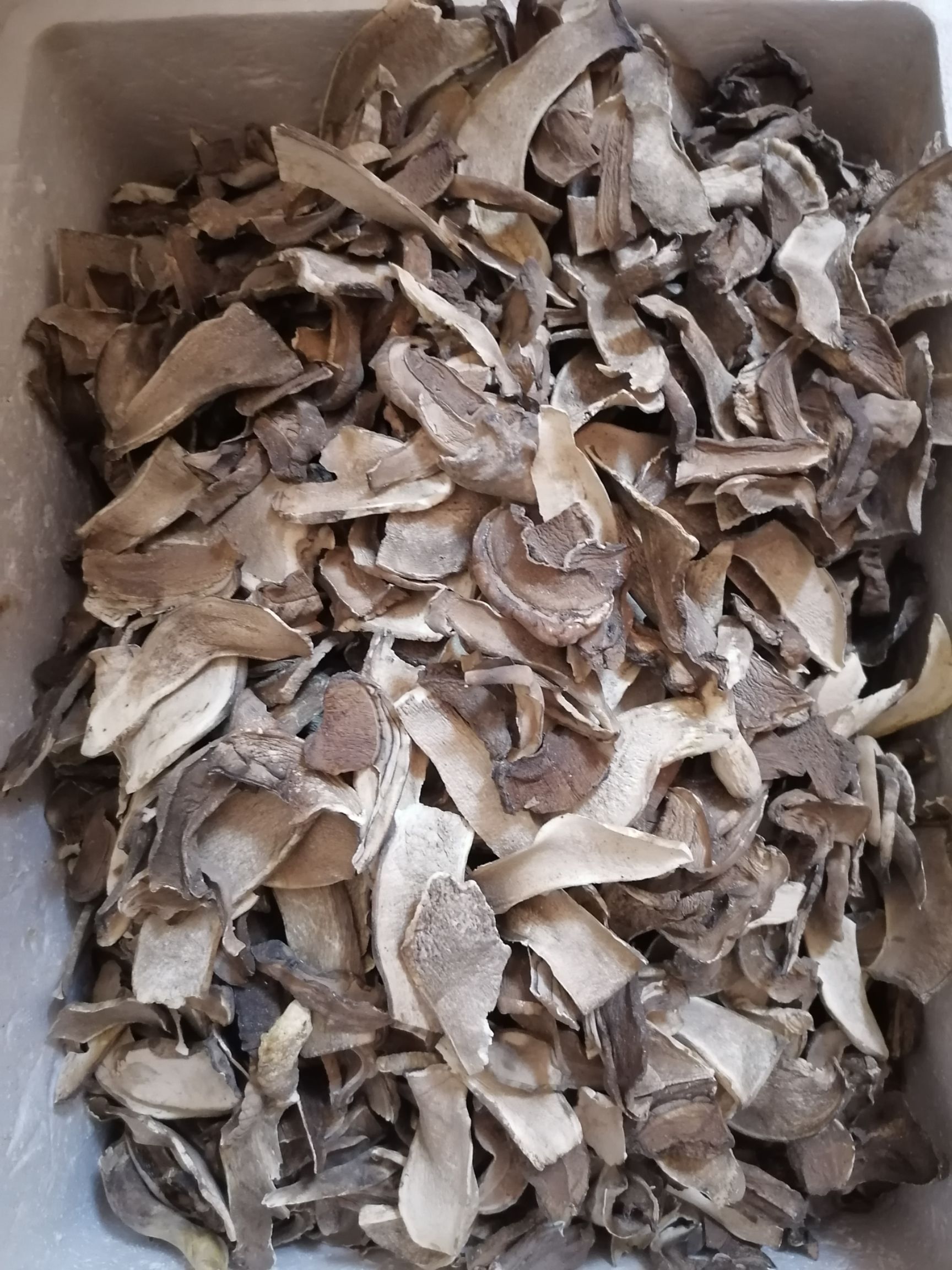 普通牛肝菌 天然食品，自然晾晒