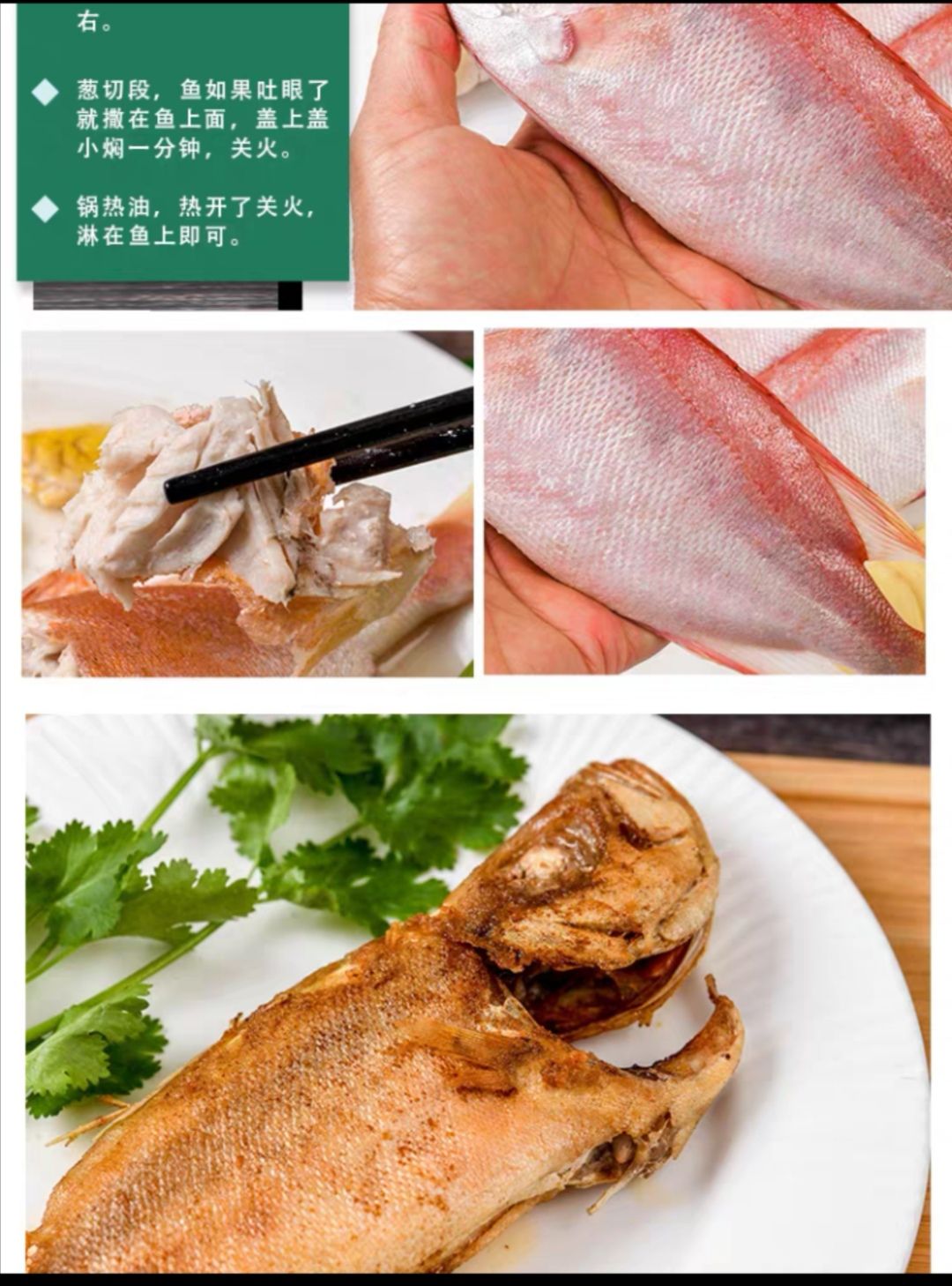 大眼鳜 冰鲜大眼鸡