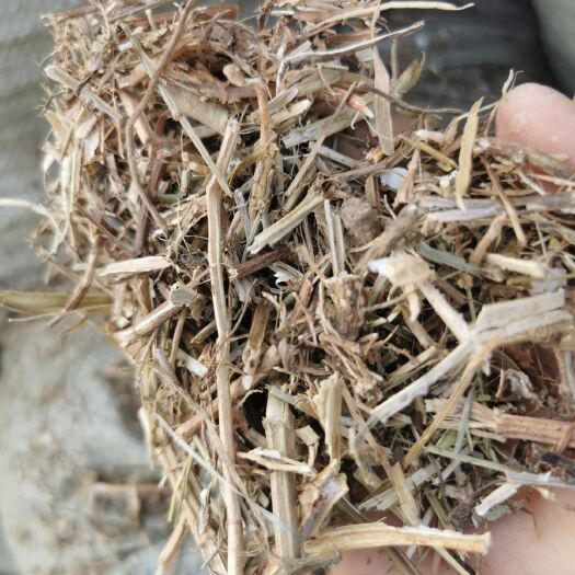 虞城县花生秧 牛羊驴草料，羊草料，黄白草，无土无膜无霉变！