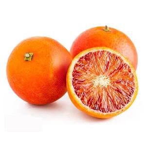 塔罗科血橙 玫瑰血橙 脐橙