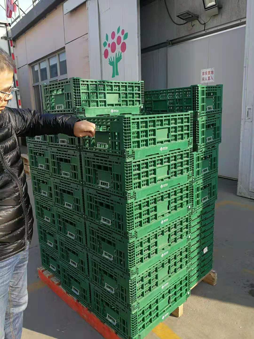 出租可折叠的水果蔬菜塑料筐