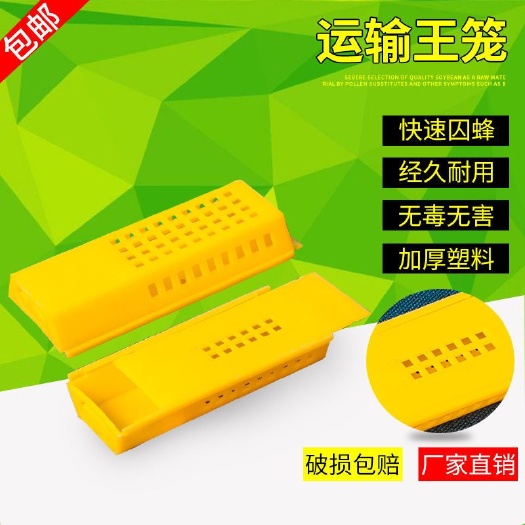 长葛市蜜蜂王笼 环邮寄王笼结实耐用养蜂专用