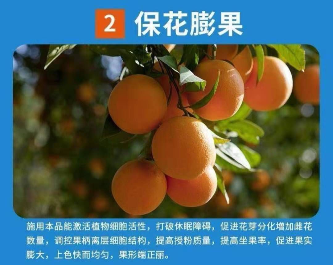 水溶肥料 植物的蛋白粉