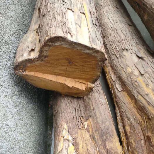 随县 柘木