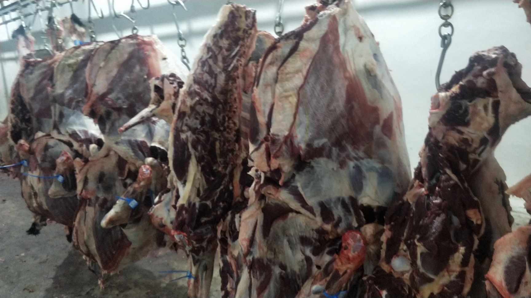 藏族牦牛肉 生肉