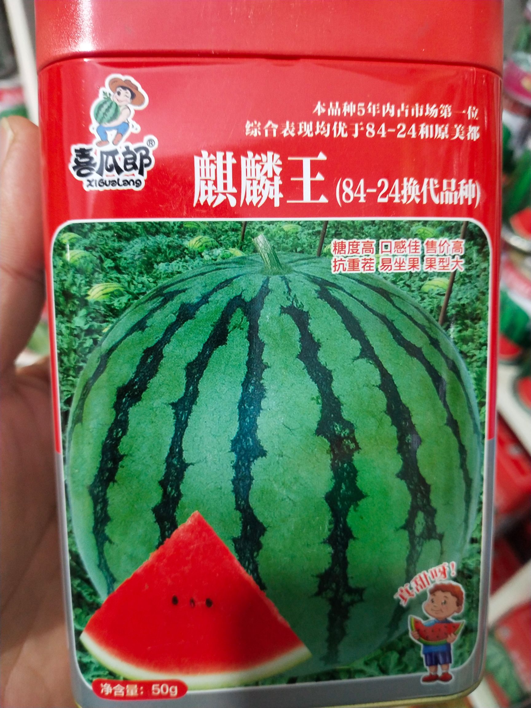 麒麟西瓜种子  麒麟（84-24换代品种）糖度高 口感佳