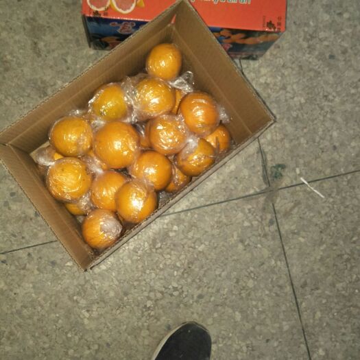 新宁县高山特色鲜美味甜红心脐橙