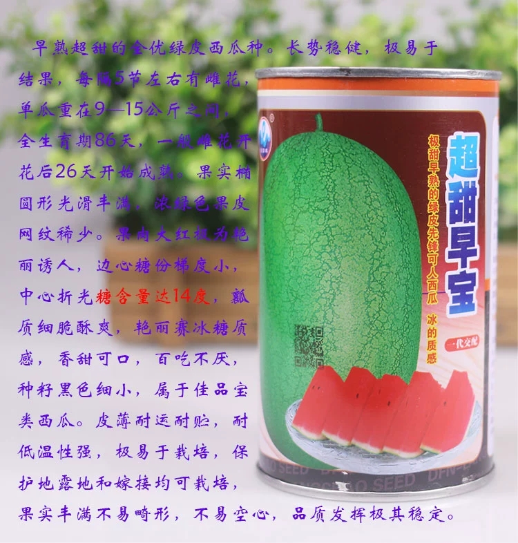 特大新红宝西瓜种子绿皮西瓜种超甜早宝早熟新巨宝赣新红宝甜