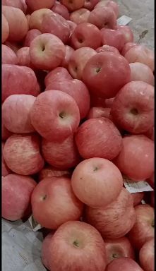 红富士苹果 陕西白水冷库高次红富士