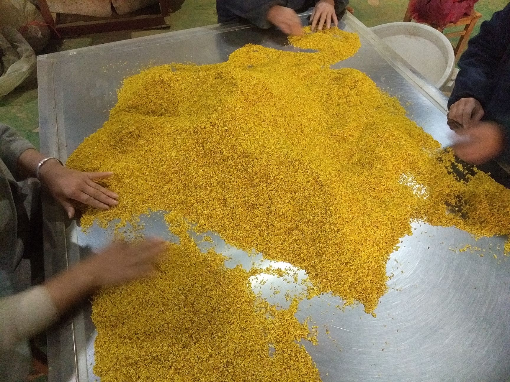 桂花瓣 
