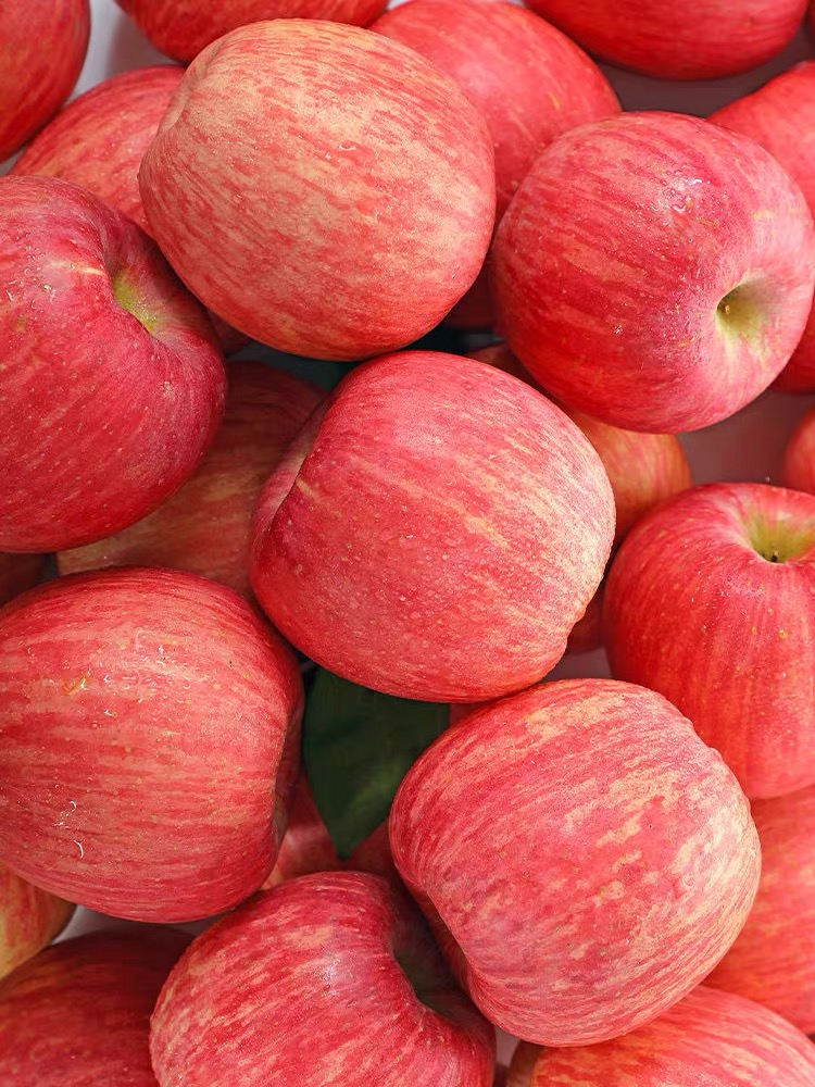 烟台栖霞红富士苹果