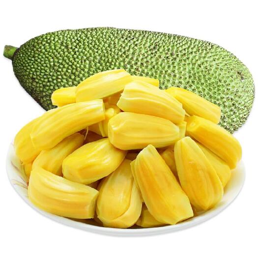 文昌市海南菠萝蜜 一级果 干包 黄色