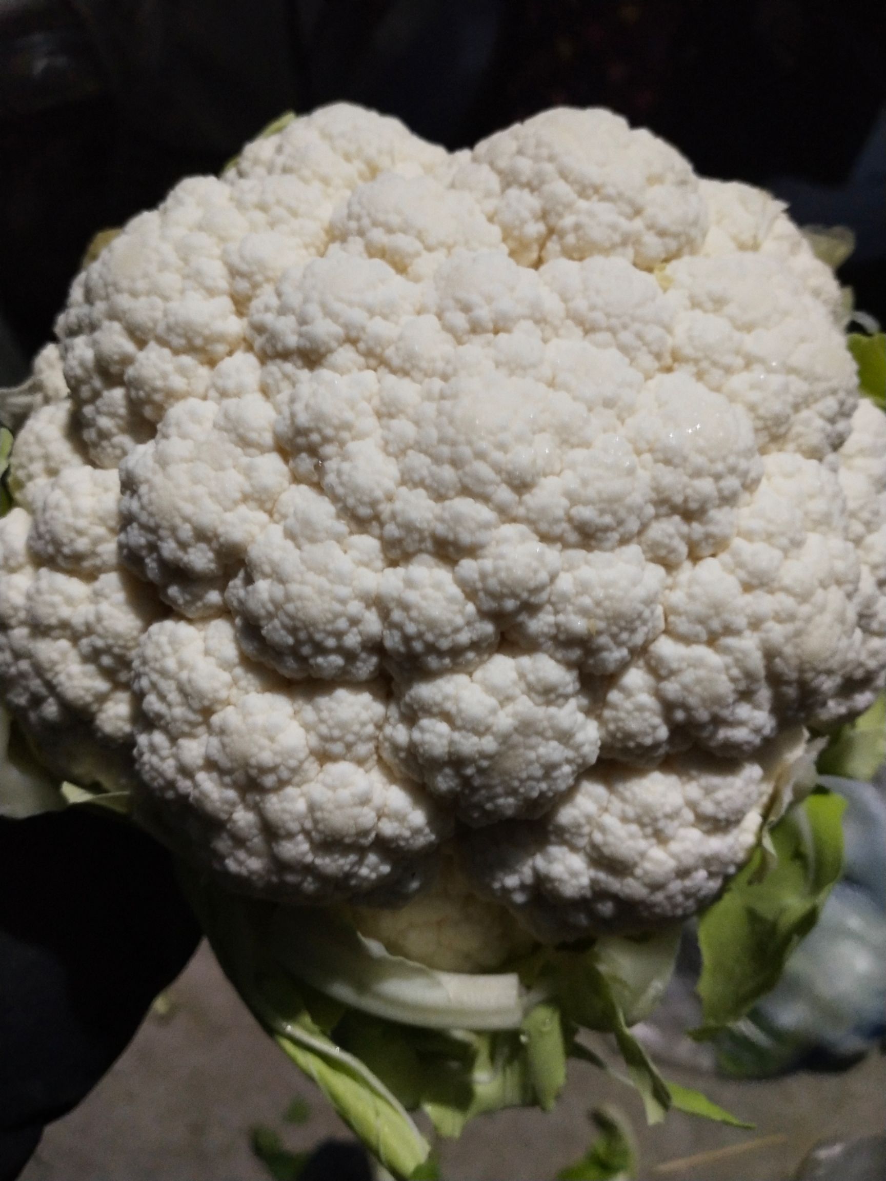 实花，菜花，诚信代发.产地供货