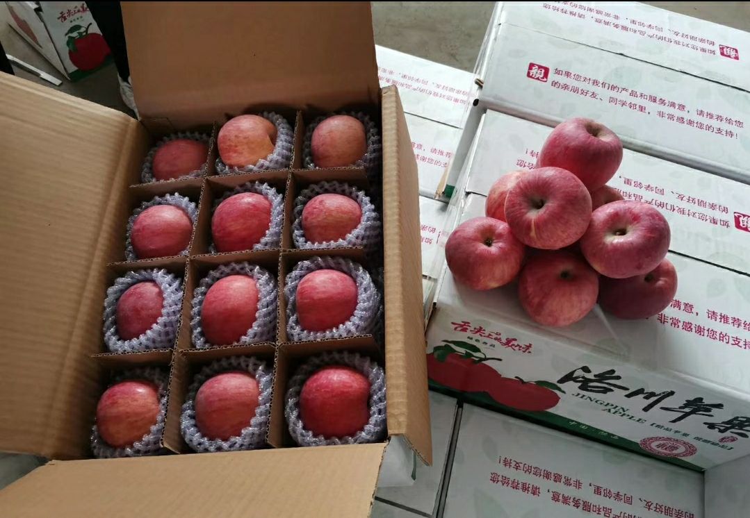 [洛川扶贫项目]陕西洛川红富士苹果脆甜口感纯商品果支持一件发