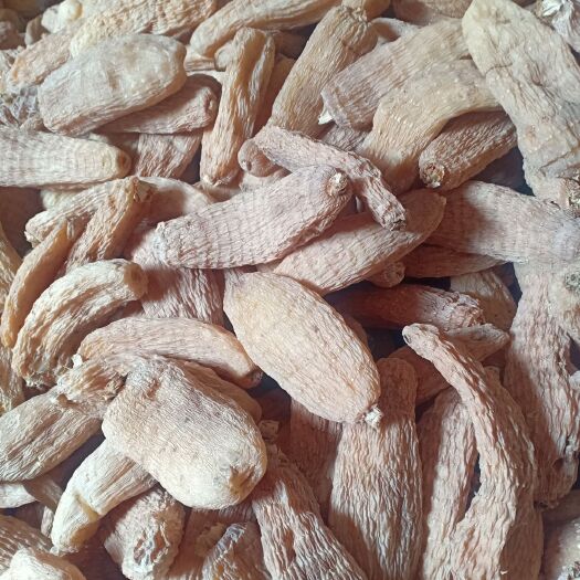 岳西县中药材山药