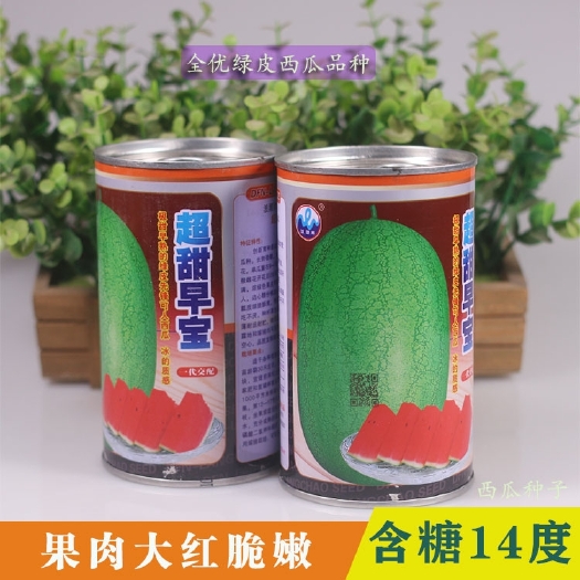 樟树市特大新红宝西瓜种子绿皮西瓜种超甜早宝早熟新巨宝赣新红宝甜