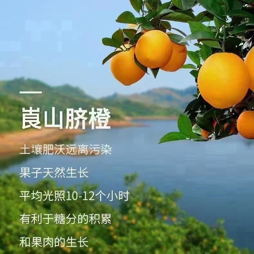 新宁县 自家种的脐橙，不打甜蜜素、不打腊、汁多味甜、橙子味香浓。