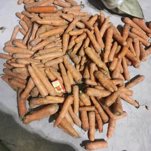 开封雷肯德