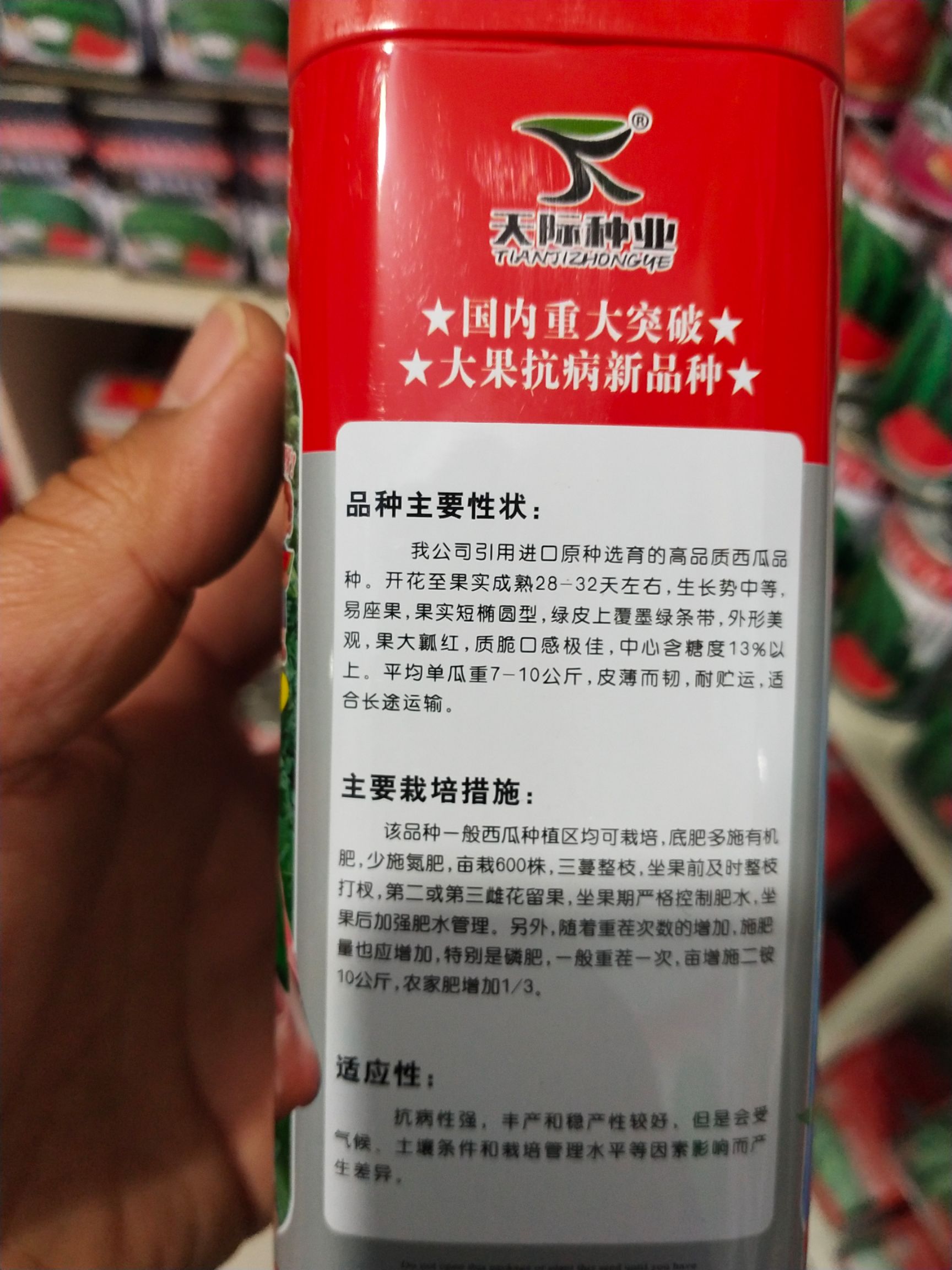 麒麟西瓜种子  西瓜种子 抗病 耐重茬 绿皮