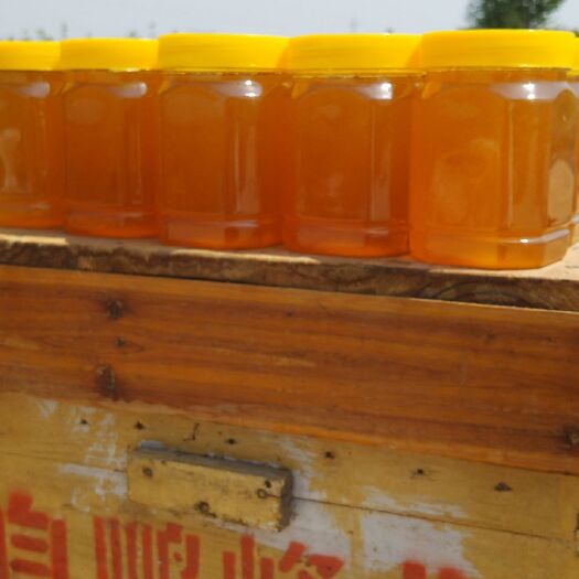 邯郸意蜂蜂蜜 油菜花蜜