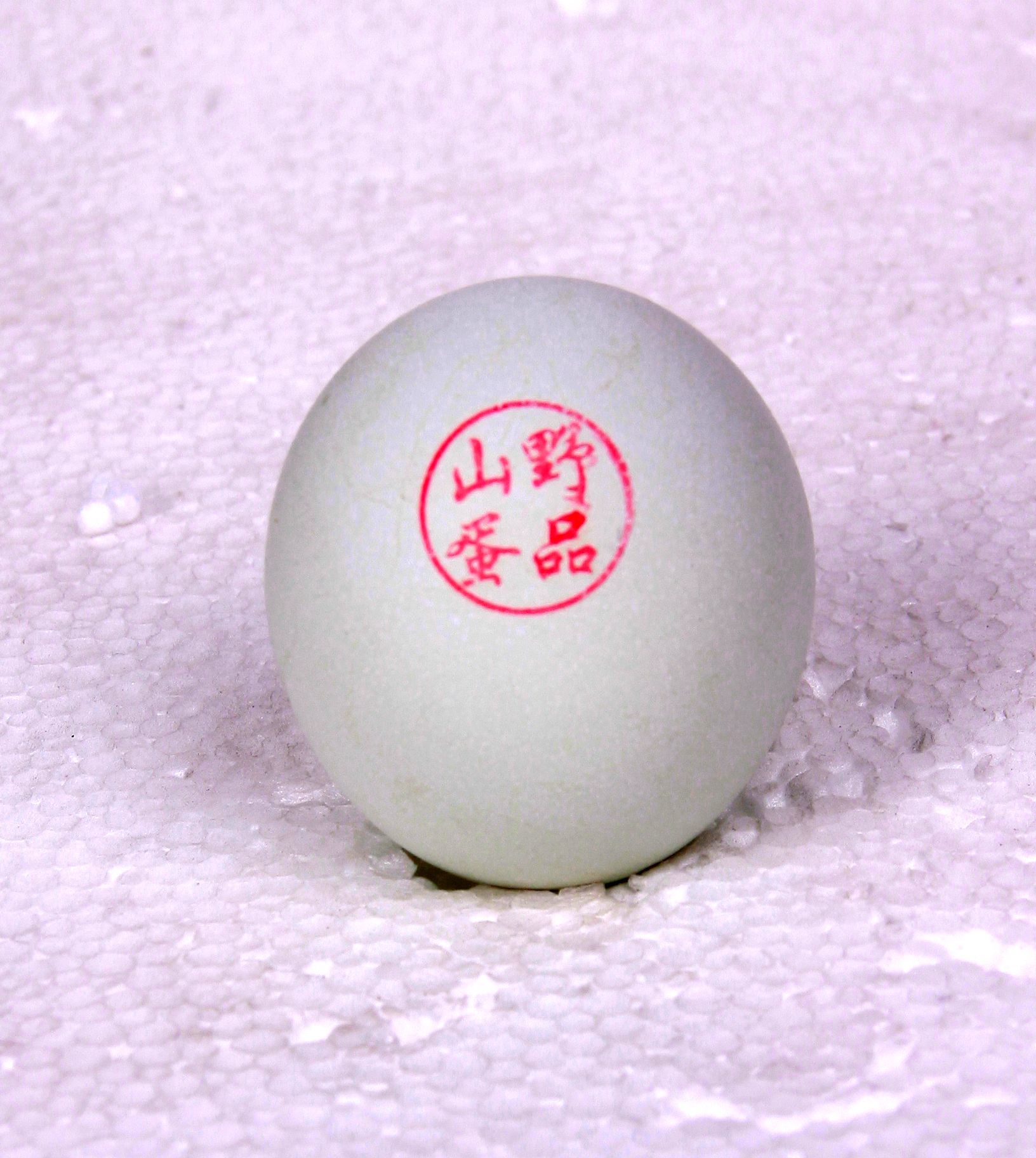 绿壳蛋  30枚农家散养绿壳鸡蛋土鸡蛋笨鸡蛋山林散养绿壳鸡蛋