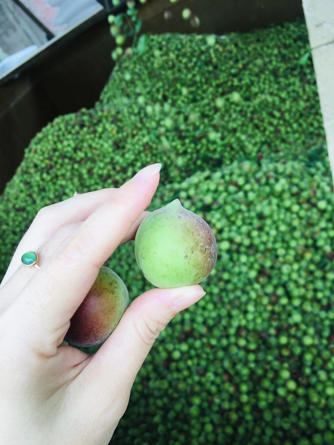 正宗大话梅早期休闲零食酸甜九制青梅蜜饯果干乌梅子