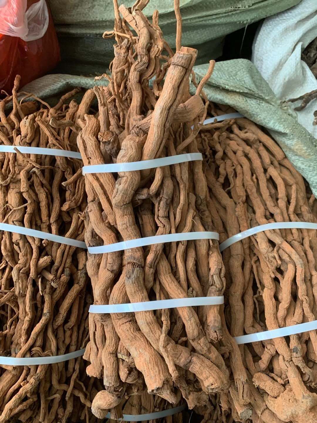 长期供应｛胡椒根｝可批量可零售量大从优【包邮】