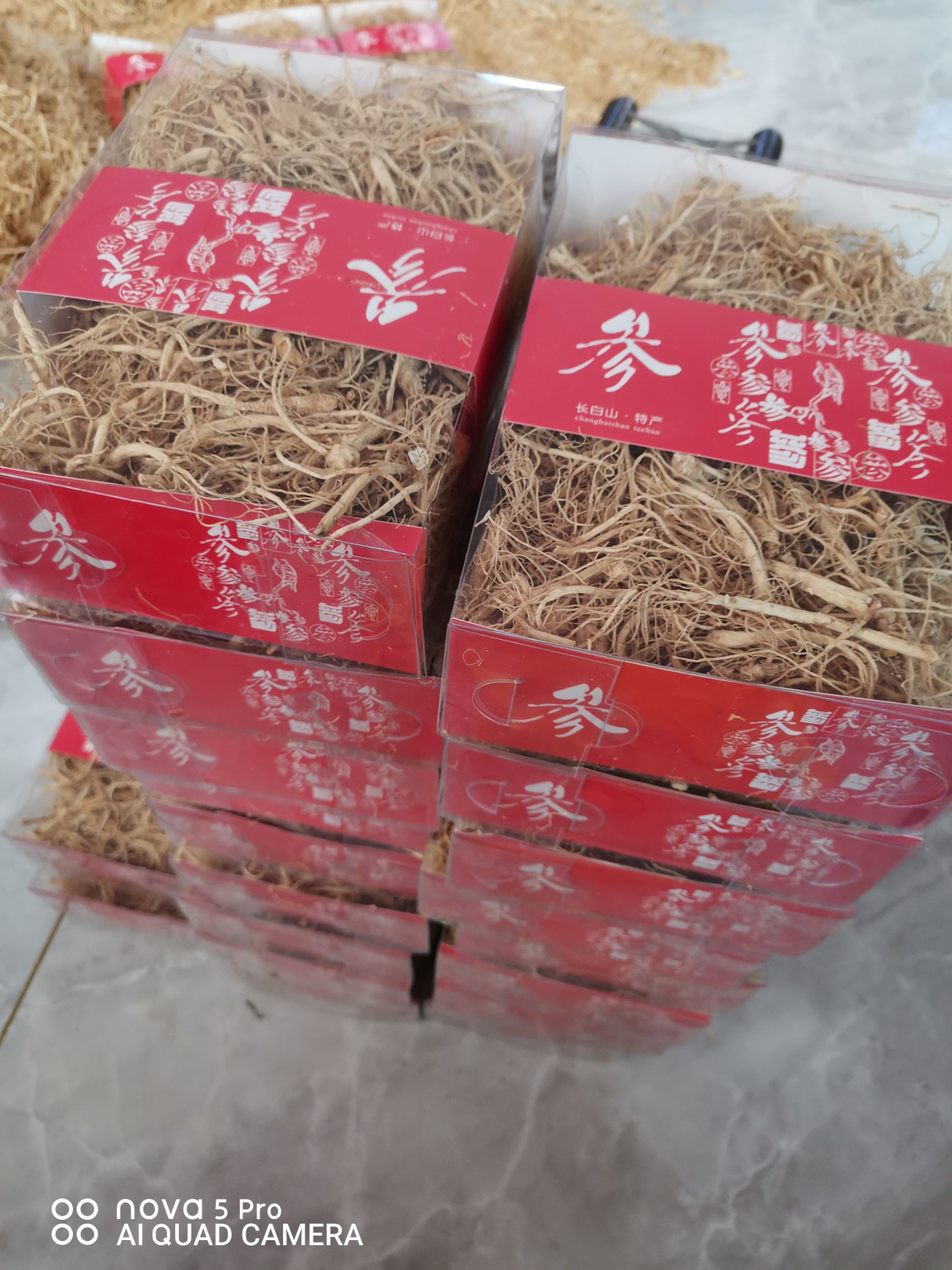 人参  长白山白参须