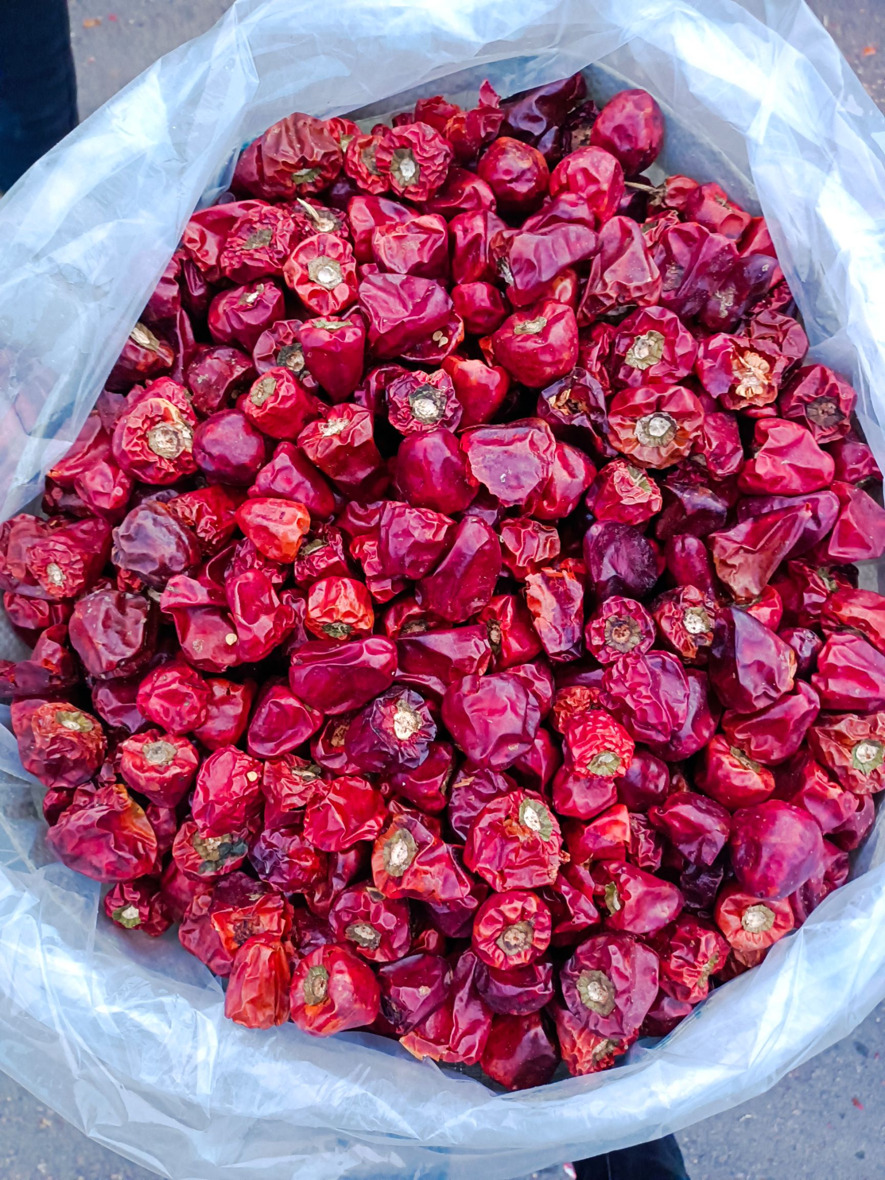 干辣椒  灯笼椒。货品齐全 欢迎咨询抢购