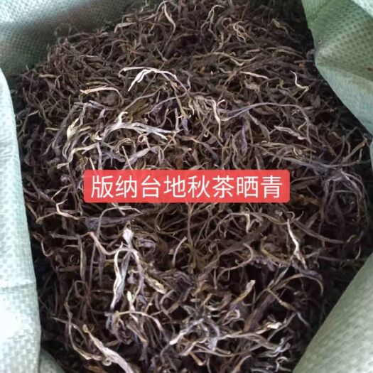 景洪市普洱生茶 条索清晰，不浑汤，口感好。