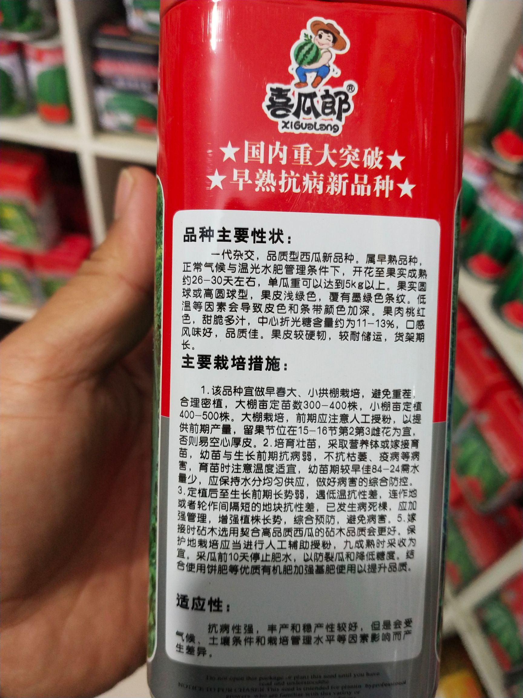 麒麟西瓜种子  麒麟（84-24换代品种）糖度高 口感佳