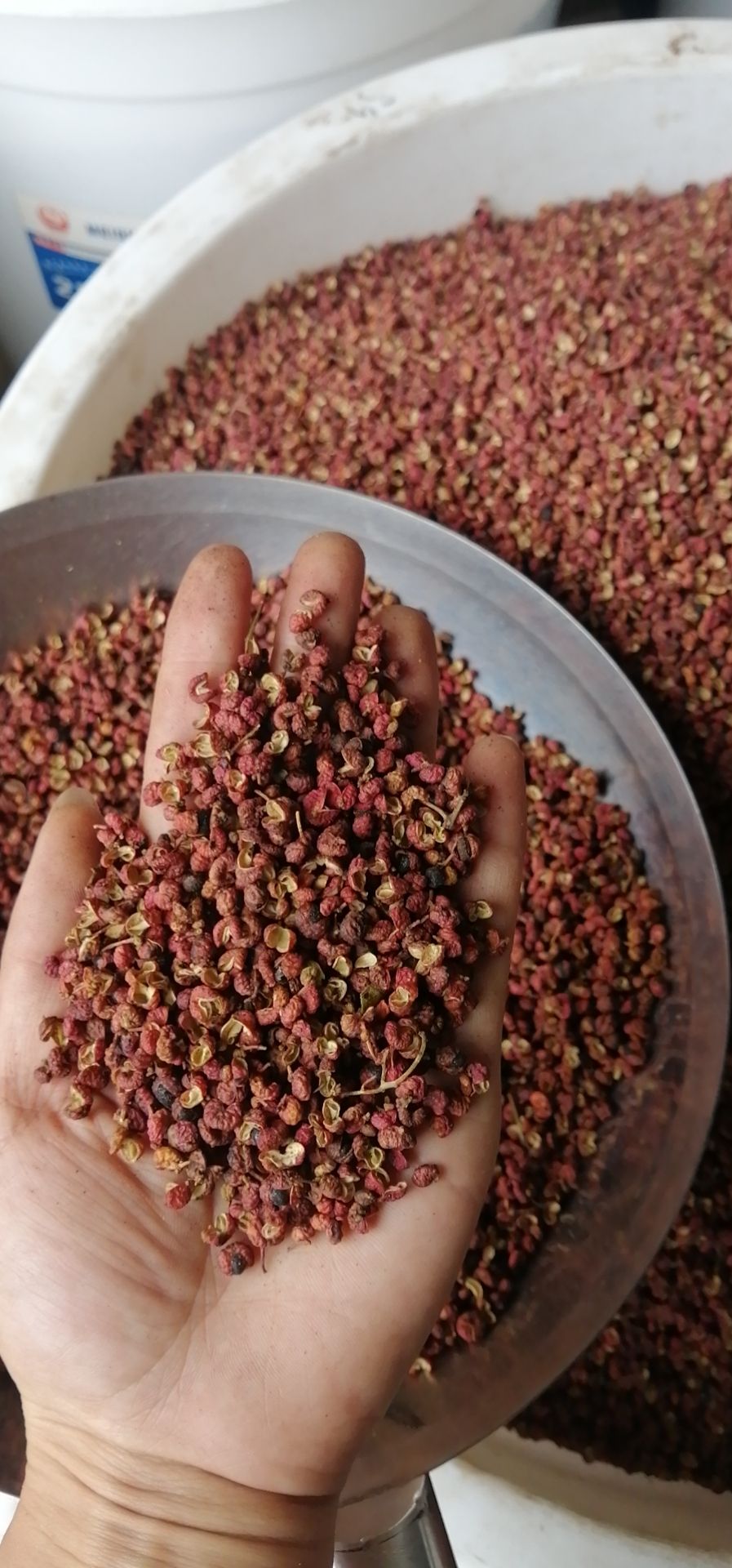 韩城大红袍花椒三级