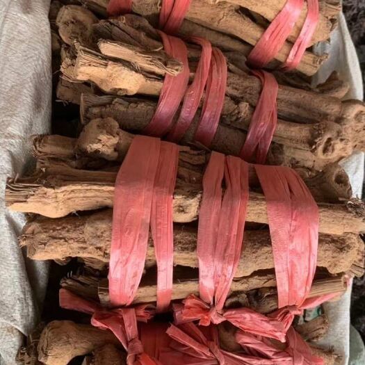 玉林长期供应｛胡椒根｝可批量可零售量大从优【包邮】