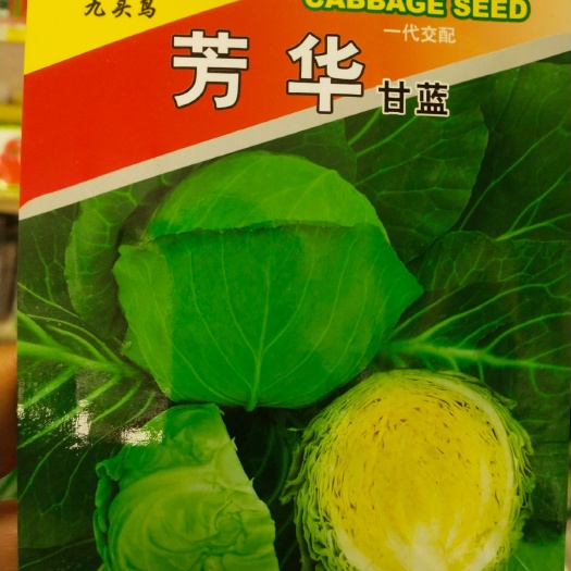 绿甘蓝种子 甘蓝种子 芳华一代杂交 1.5公斤左右 60天采