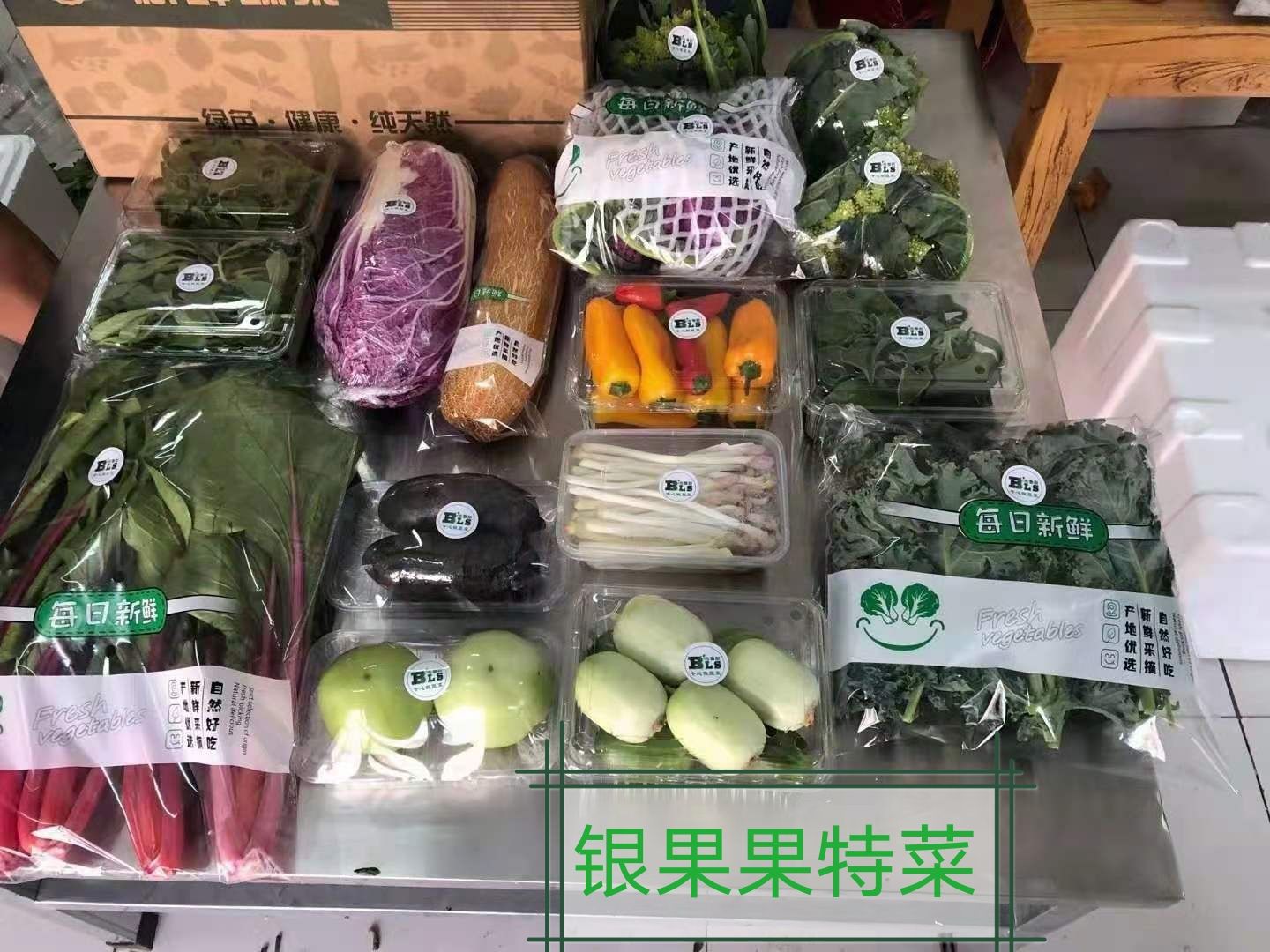 寿光市非洲冰草  银果果特菜   高档礼品菜