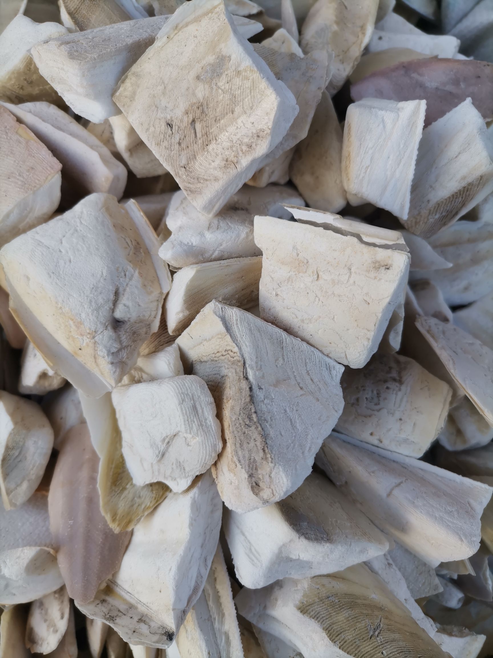 海螵蛸   乌贼骨   各种规格  含量高  2斤起包邮