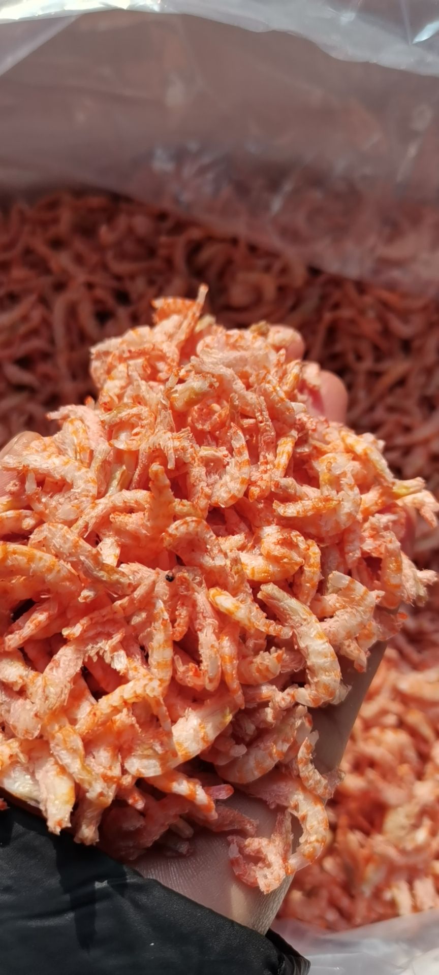 深海去壳虾仁 小虾米 跑江湖地摊热卖 虾仁批发