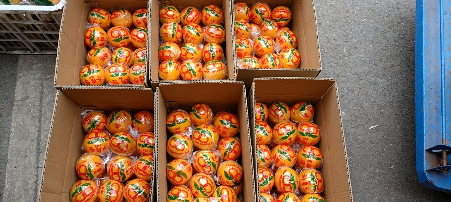 黔阳冰糖橙，都是精包装，口感好，色泽光亮！