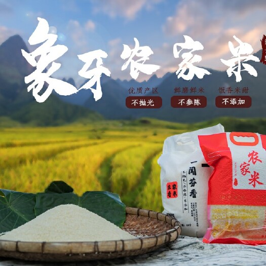 清远美香占大米  全年稳定供应 现磨象牙农家米、支持一件代发、oem品牌、
