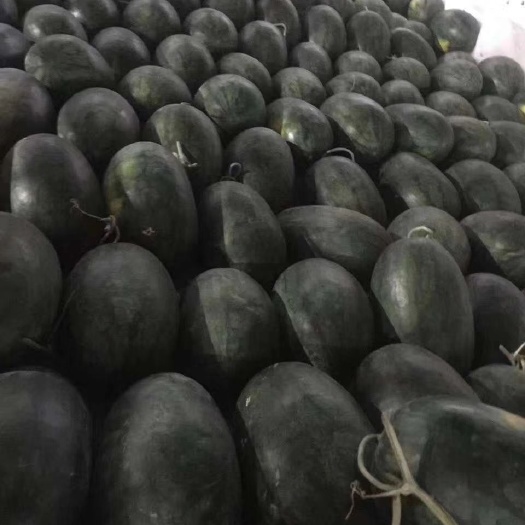 河口县越南黑美人西瓜水多口感好皮薄