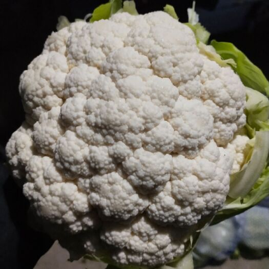 天门市白花，实花，诚信经营产地直发