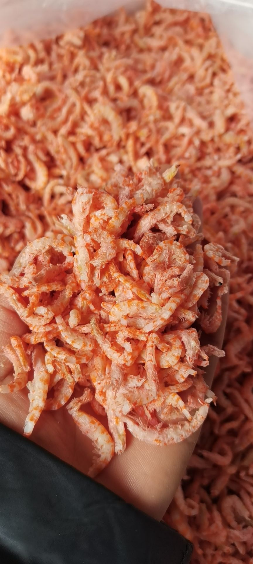 深海去壳虾仁 小虾米 跑江湖地摊热卖 虾仁批发